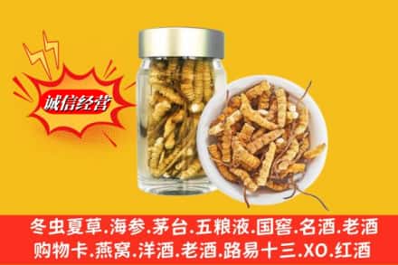 普兰店区回收散虫草