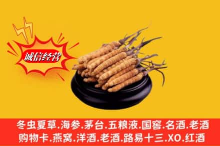 普兰店区高价上门回收虫草多少钱每克